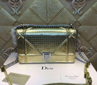 Diorama flap bag D0421