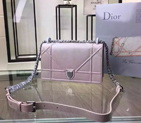 Diorama flap bag D0421