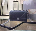 Diorama flap bag D0421