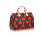 Louis vuitton SPEEDY 30 RAMAGES M41527