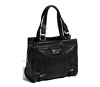 Chloe 'Poya Vintage Medium' Leather Shoulder Bag 3S395789