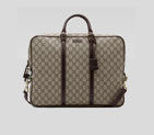 briefcase 201480 FCIEG 9643