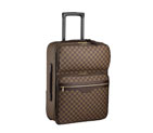 PEGASE 55 BUSINESS N23297