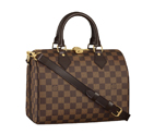 Speedy 25 N41181